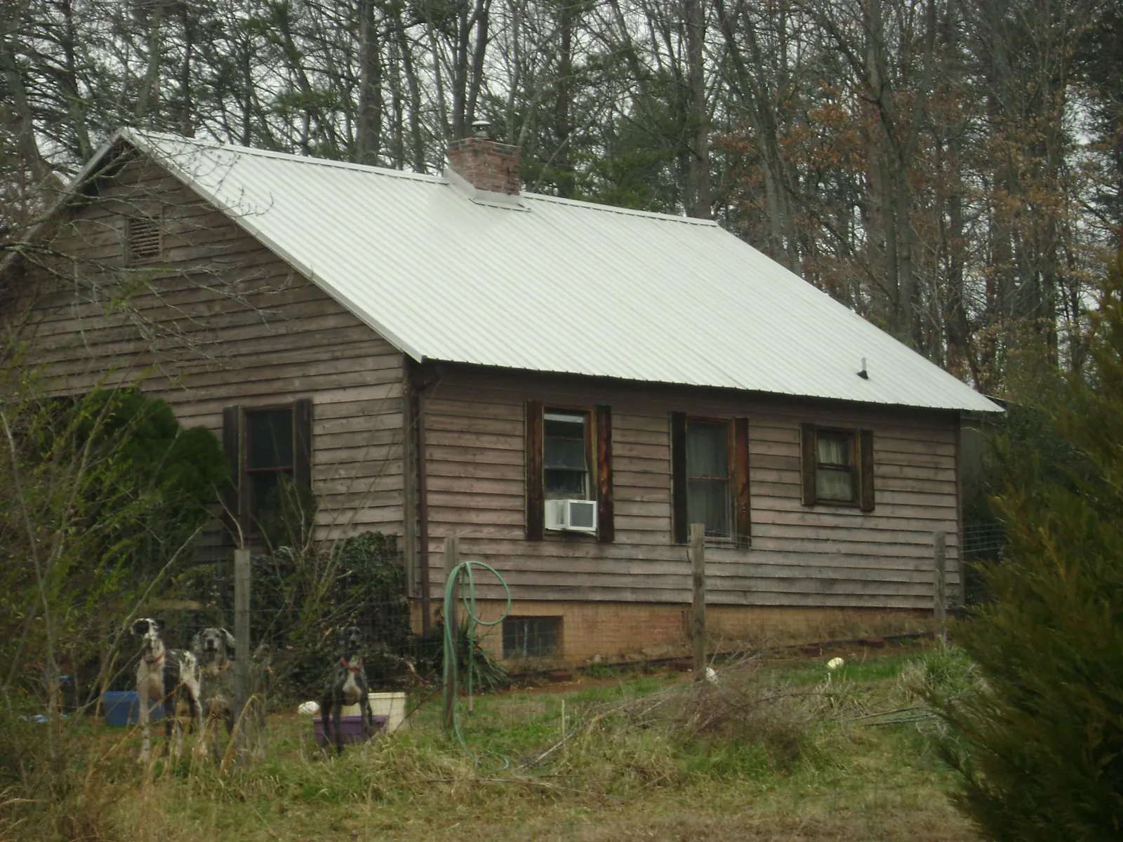 White metal roof on an old wood sided farmhouse, from a Asphalt Shingle Roof Repair job in Walker